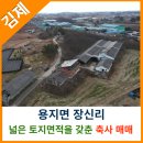 용지면사무소 이미지