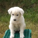 건영축산 이미지