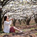 배꽃어린이집 이미지