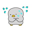 대일견인 이미지