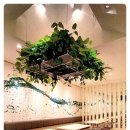 행복한집 이미지