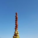 어슬렁대추정원 이미지