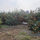 영진농장 이미지