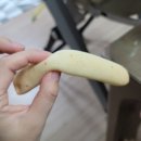 모니샌디치