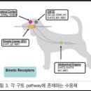 소사약국 이미지