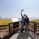 응봉개나리어린이공원 이미지