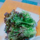 홍예네칼국수