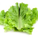 분더필라테스 이미지