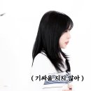 모모슈퍼 Daum카페