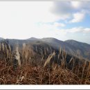 대소마을 이미지