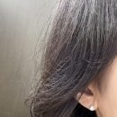 콰이어트그레이 | 룹 이어플러그 콰이어트2 인게이지2 후기