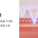 뷰비브