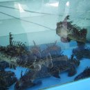 돈대모루 이미지