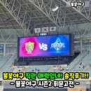 경인로10번길1R | 불꽃야구 시즌2 휘문고 직관 후기 고척스카이돔 불꽃석 1루 202구역 L열 시야 경기 결과!(티켓팅?)