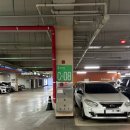 2342 | 김해참치 ·고개고기 맛집 본참치 방문 감동후기