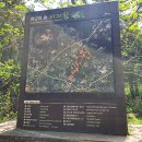 새천년오피스텔(천년사랑오피스텔) | 제주 비자림 (주차, 입장료, 코스) 동부 여행지 추천