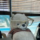 안경과 사람들 | 진주안경원 사람과안경 이마트옆점 | 만원 안경 후기👓