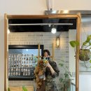 반야시스터 이미지