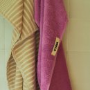 탈로 제주 이미지