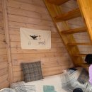 해피데이애견 이미지