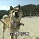 신토불이 이미지