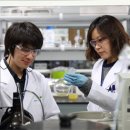 메디밸리로 이미지