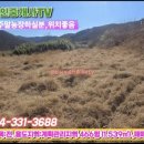 영천남부공인중개사사무소 네이버블로그