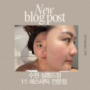 정살롱 | [수원] 살롱드정 1:1 맞춤 인계동에스테틱 한혜진 마스크팩 후기