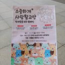 루키코(Lookiko) | 부산 연제구 애견동반카페 루키코-반려동물수제간식/ 아토피 강아지 보양식 힘불끄니 추천 내돈내산 후기