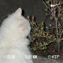 미향루 - 광주시 광여로 67 | 4월