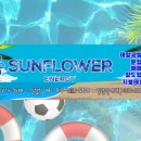 썬플라워 태양광발전소 이미지