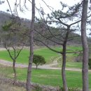 4월의밀밭 이미지