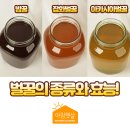 아침햇살 이미지