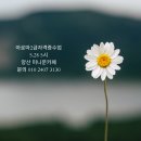 도테라더아로마하우스