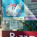 알짜피자 이미지