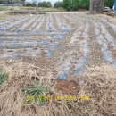 순동농장 이미지