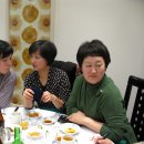 이광섭농장 Daum카페
