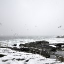 겨울바다 이미지