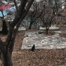 김밥천국 묵호점 네이버블로그