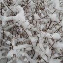 우신고등학교 이미지