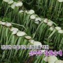 신의주순대와쭈꾸미 이미지