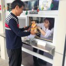 자굴산 자연휴양림 이미지