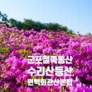59 | 철쭉동산 개화 실시간! 철쭉이 가득한 군포 수리산 두번째 등산후기 (feat. 하산푸드 편백회관 산본점)