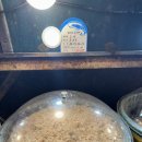 명품광천토굴새우젓 | 충남 홍성 광천의 명품 젓갈, 중앙토굴새우젓.