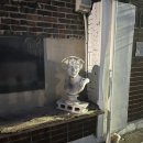 마법의약국 이미지