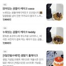 중앙동205 | [안산 중앙동 카페 ]딸기케이크 맛집(한정수량판매),카페 오브(aube)