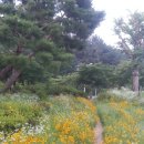 유신주단