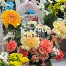 수원역지하도상가 | 수원역지하도상가 꽃집 카라플라워 생일꽃다발 후기 핑크꽃다발 추천