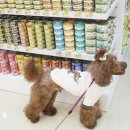 폴리파크 역삼점 이미지