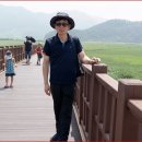 순천만 여행 이미지